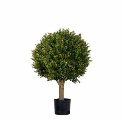 Florabelle - Red Day Leaf Ball Tree 85cm