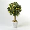 Zanatta - Lemon Bonsai 20x27x20cm