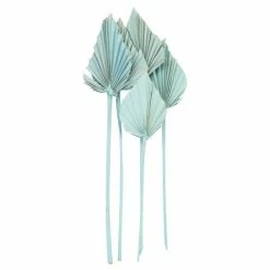 Coastal Home - Spade Palm Dried Light Blue 46cm 5pce