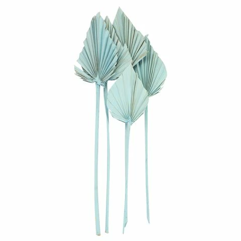 Coastal Home - Spade Palm Dried Light Blue 46cm 5pce 1 Coastal Home - Spade Palm Dried Light Blue 46cm 5pce