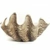 Clam Shells - Vintage King Clam 85cm