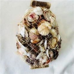 Clam Shells - Santa Maria Shell Pack 2kg