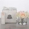Cote Noire - Five Blush Pink Roses Clear Glass Silver Crest