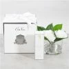 Cote Noire - Triple Gardenia Spray W/Clear Round Glass Vase