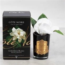 Cote Noire - Single White Gardenia Black Glass W/Gold Crest