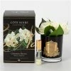 Cote Noire - Gardenia Blanc Perfume Black Glass Gold Crest