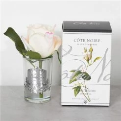 Cote Noire - Pink Blush Rose Bud In Clear Glass W/Silv Crest