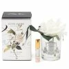Cote Noire - Ivory French Rose W/Clear Vase Silver Crest
