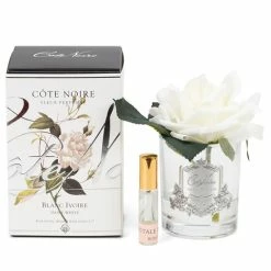 Cote Noire - Ivory French Rose W/Clear Vase Silver Crest