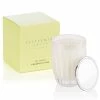 Peppermint Grove - Coconut & Lime Small Candle 60g